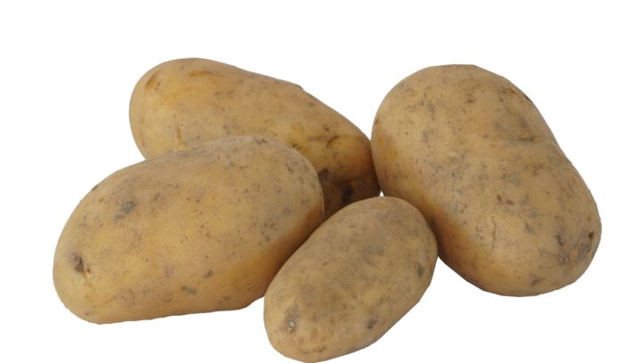 Kartoffeln Fam. Grillmeier aus Konnersreuth 1kg